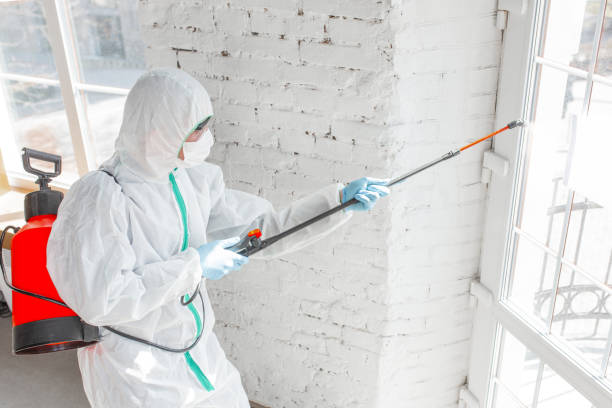 Trusted Mccordsville, IN Mold Removal Experts